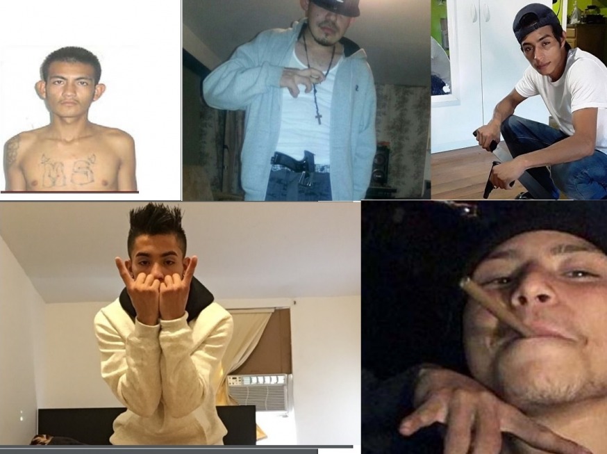 ms 13 gang hand signs