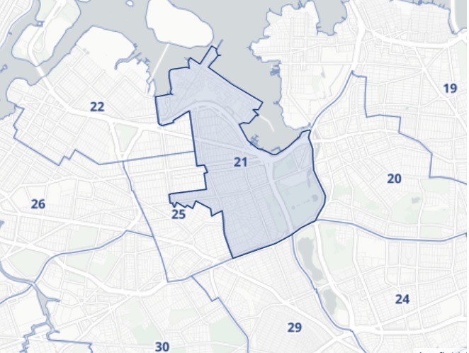 Council Members Francisco Moya and Adrienne Adams Both Poised to Win Re ...