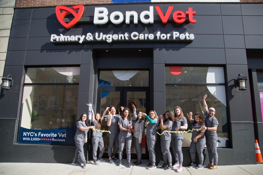 Pet Urgent and Primary Care Facility Opens in Astoria - Astoria Post