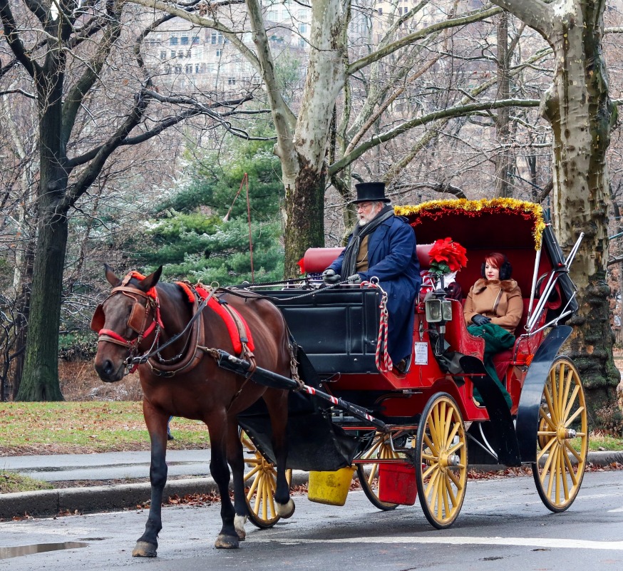 Central Park Horse Carriage Rides