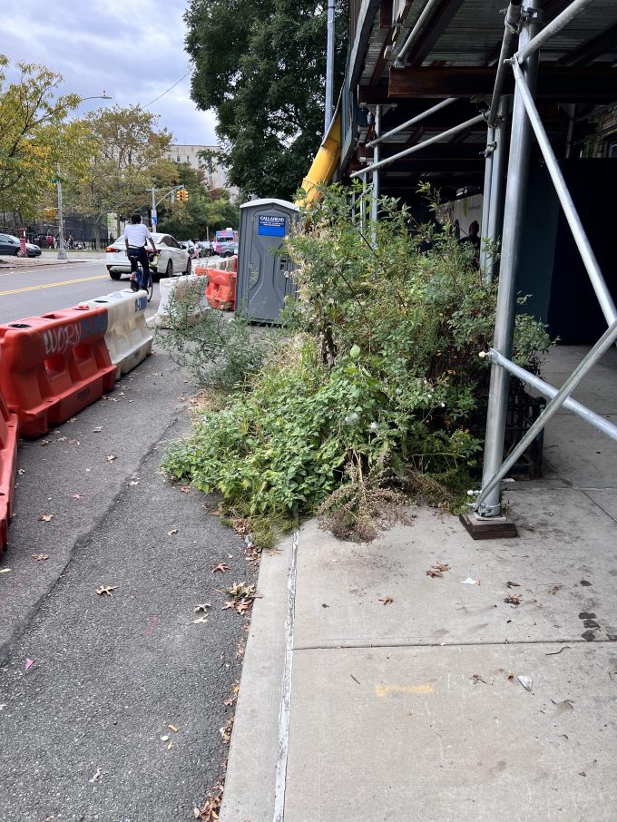 The exterior of 49-09 47th Ave., which was damaged in a five-alarm fire last December. Photo: Council Member Julie Won