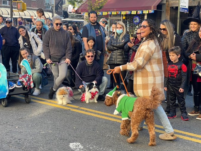 Dogs dressed up for the 2023 Ditmars Halloween Block Party. Photo: Rivercrest. 