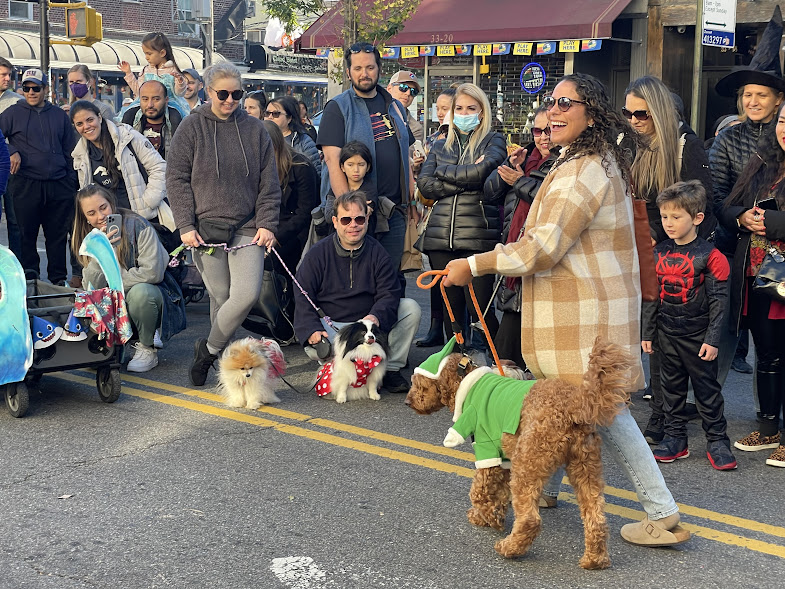 Dogs dressed up for the 2023 Ditmars Halloween Block Party. Photo: Rivercrest.